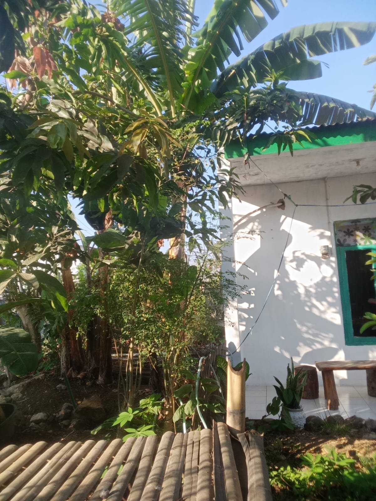 Suasana Outdoor Homestay
